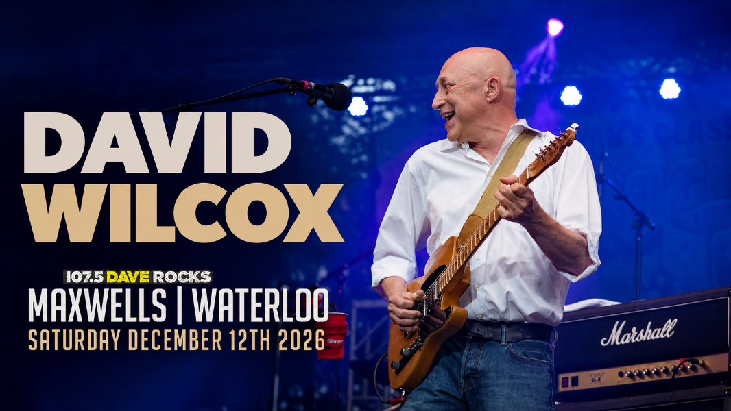 David Wilcox